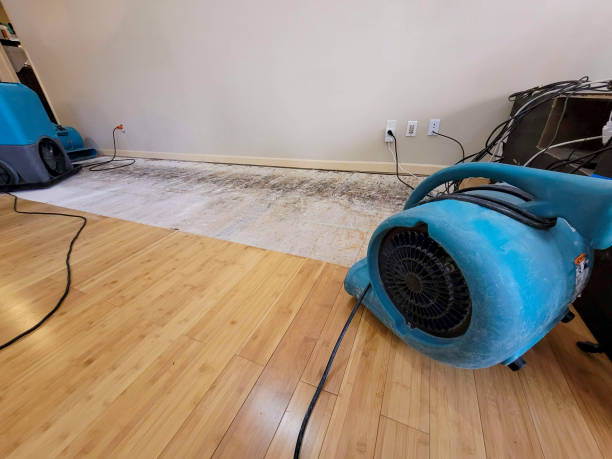 Professional Water Extraction technician working in Severance, CO